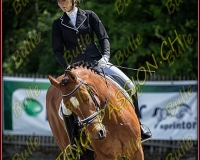 BULLE 0430-Modifier